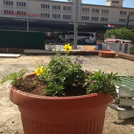 בית הארחה Lami 3*